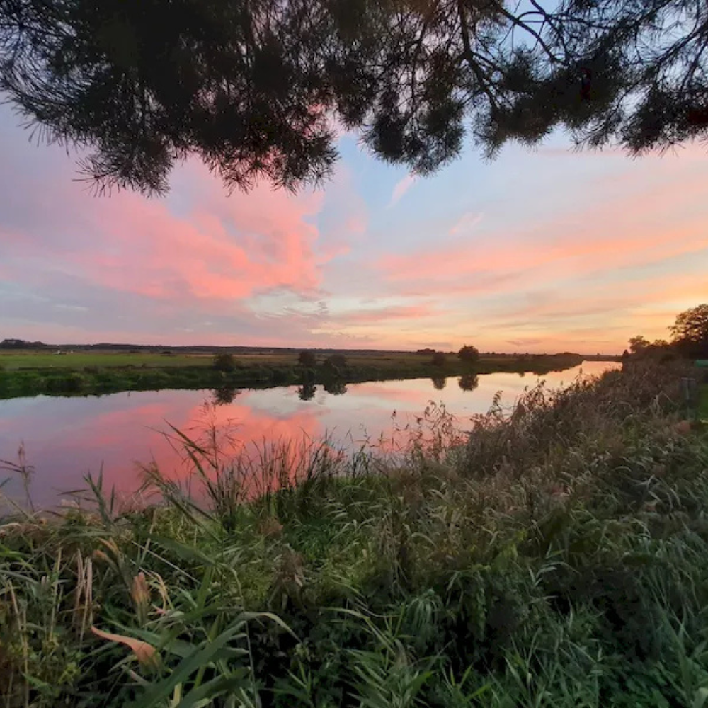 Dlaczego warto spędzić wakacje w domkach nad rzeką Narwią?